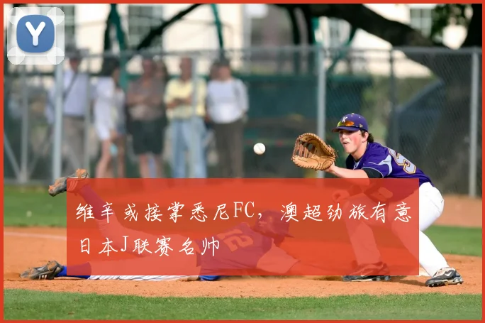 维辛或接掌悉尼FC,澳超劲旅有意日本J联赛名帅